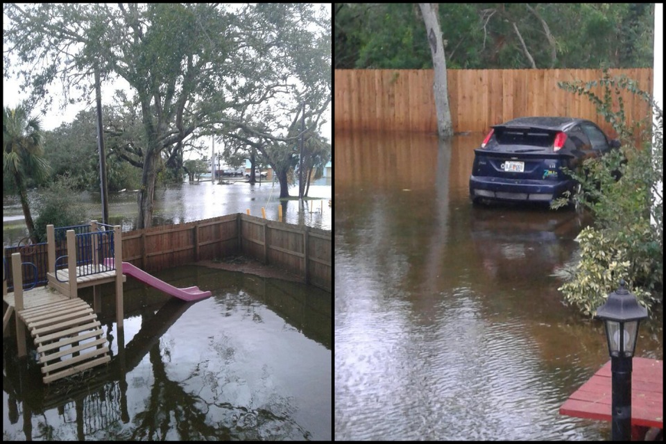 Irma's floodwaters sting