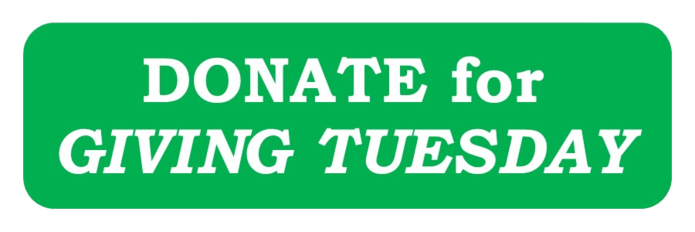 Giving Tuesday Donation Button